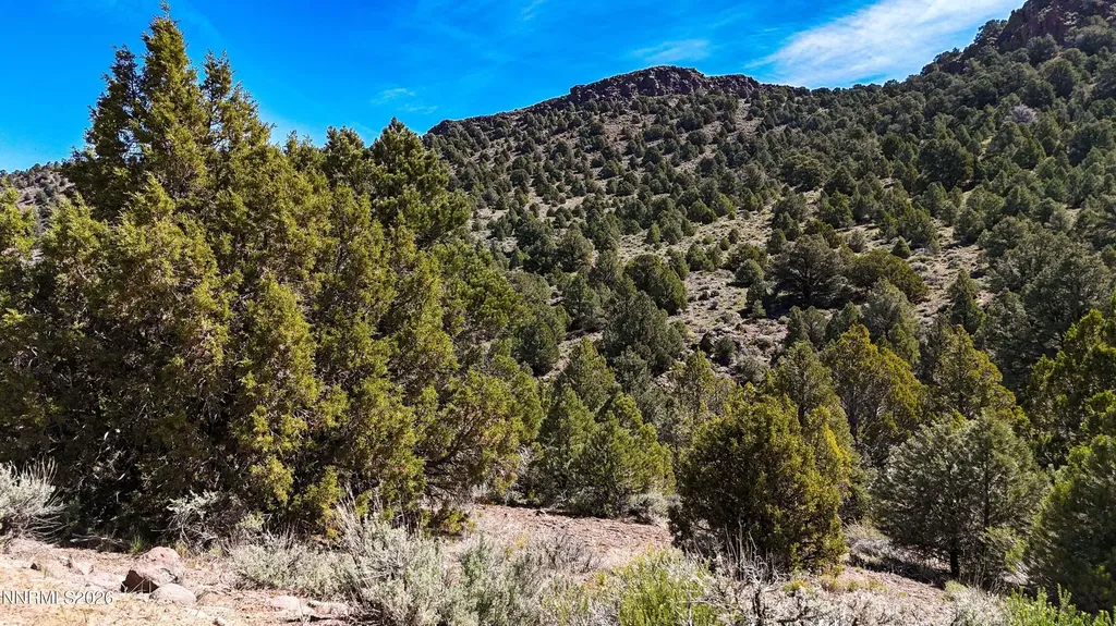 2120 Castle Peak Reno NV 89521