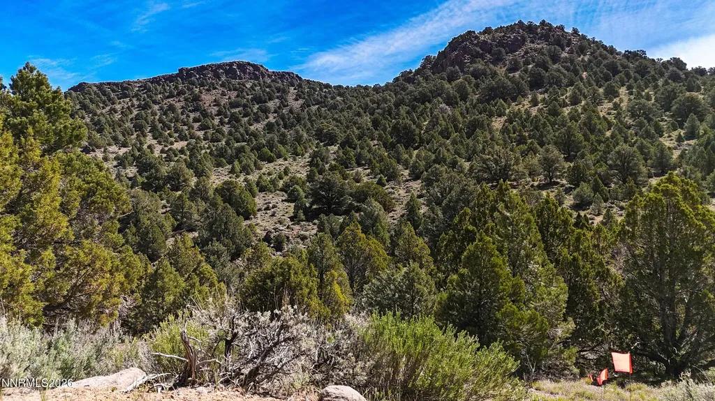 2120 Castle Peak Reno NV 89521