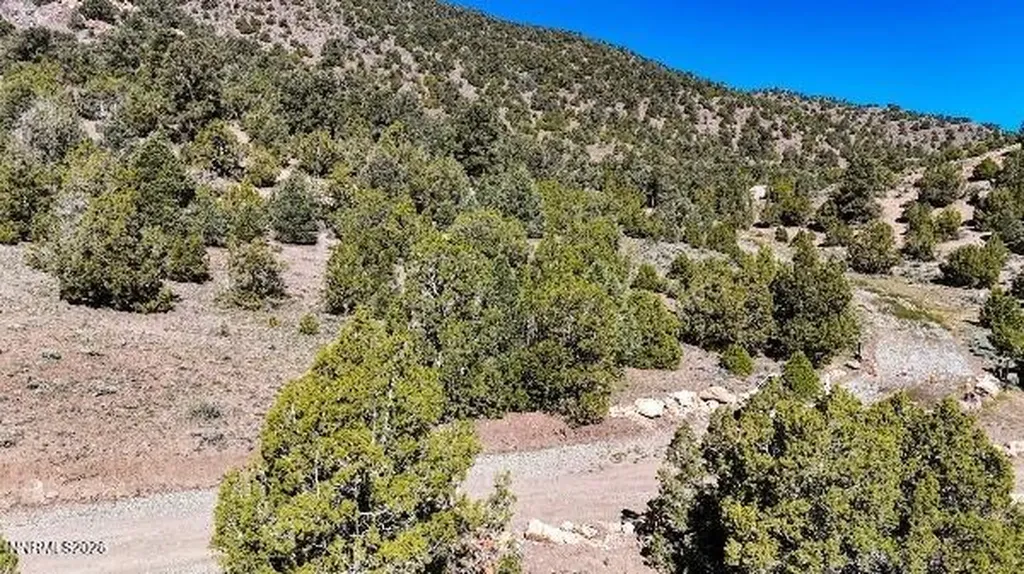 2120 Castle Peak Reno NV 89521