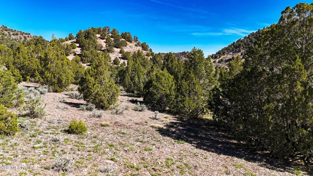 2120 Castle Peak Reno NV 89521