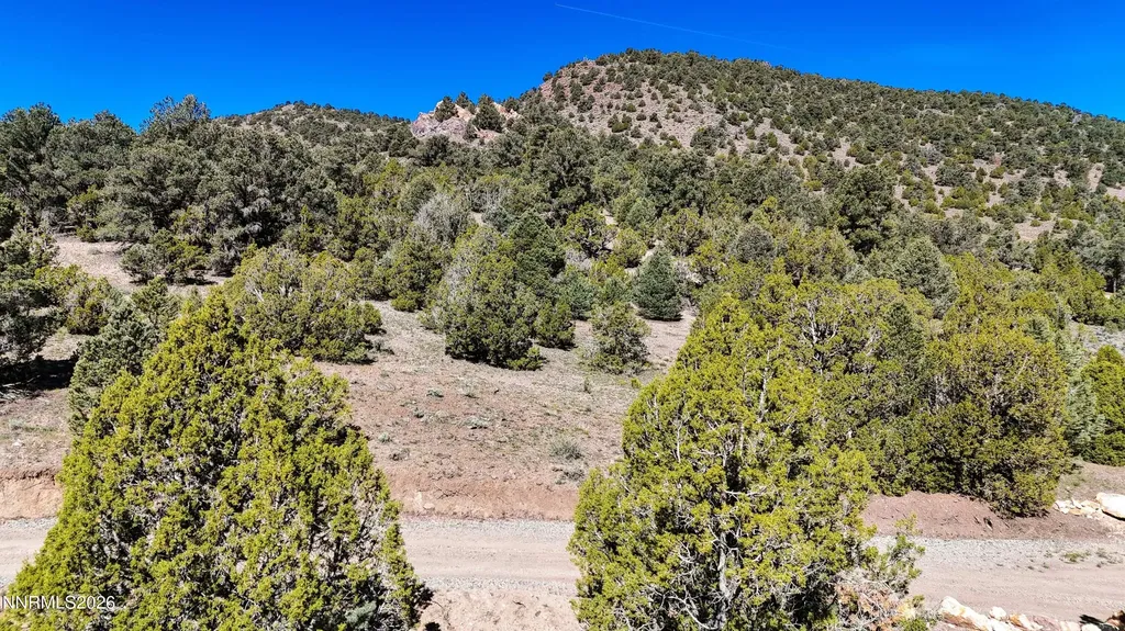 2120 Castle Peak Reno NV 89521