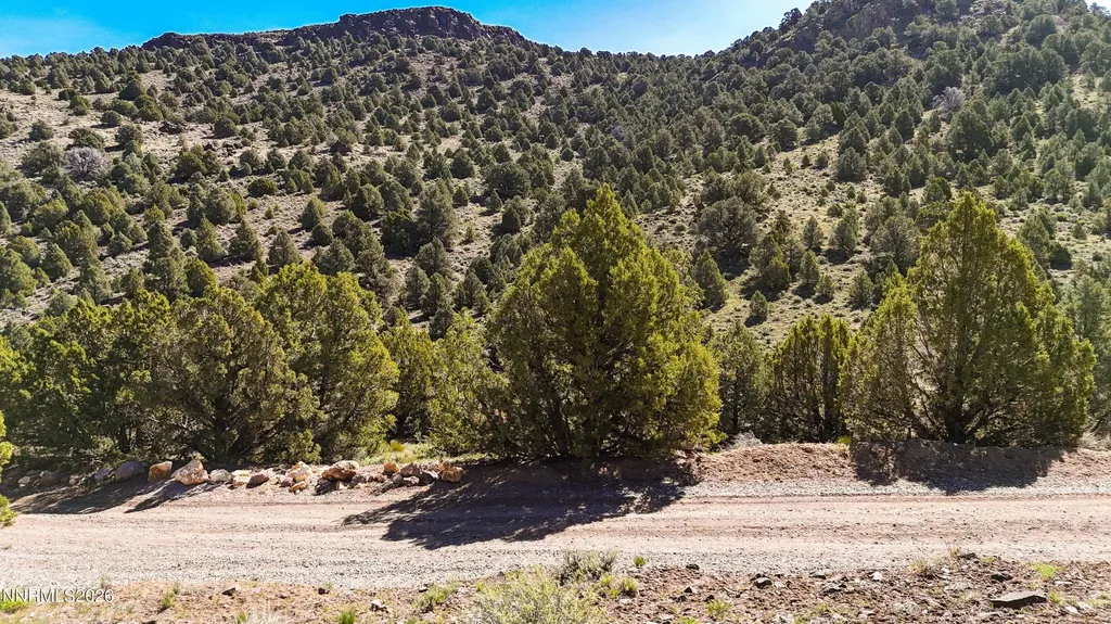 2120 Castle Peak Reno NV 89521