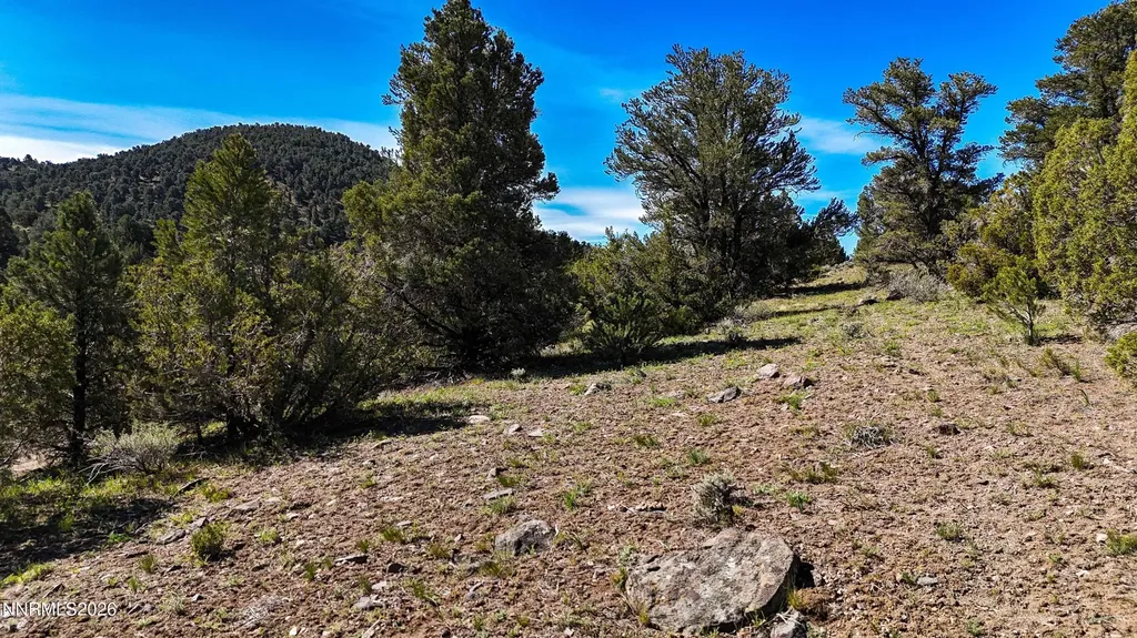 2120 Castle Peak Reno NV 89521