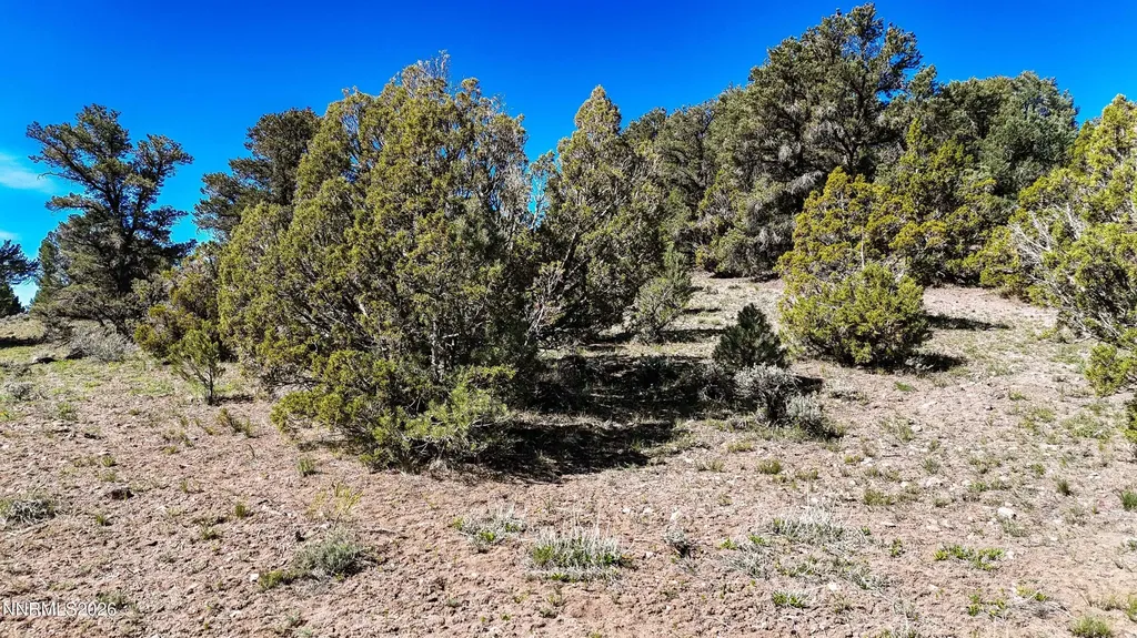 2120 Castle Peak Reno NV 89521