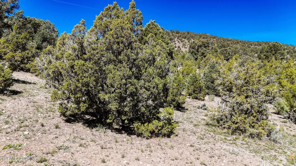 2120 Castle Peak Reno NV 89521