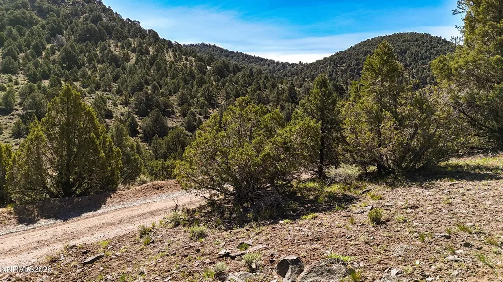 2120 Castle Peak Reno NV 89521