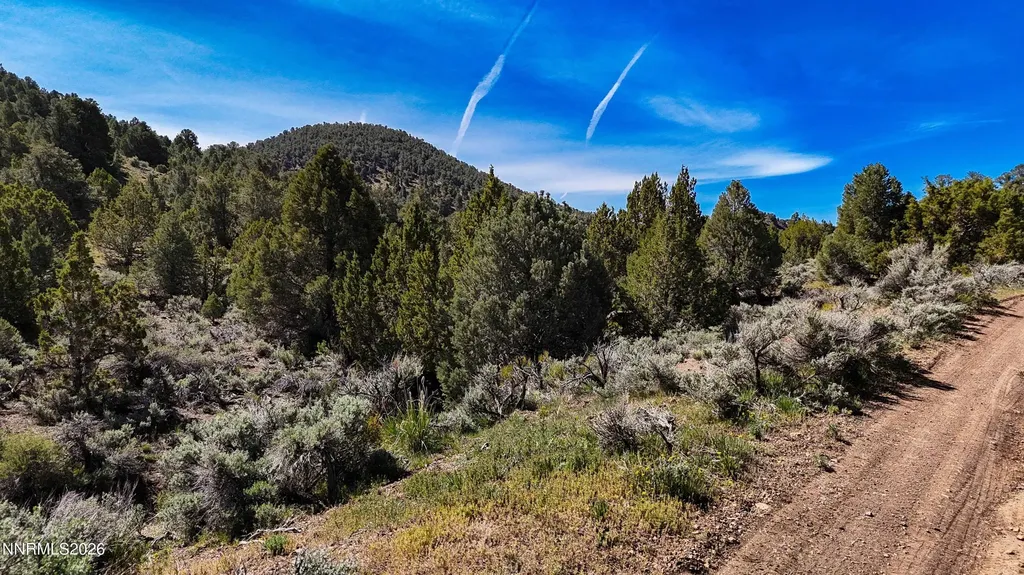 2120 Castle Peak Reno NV 89521
