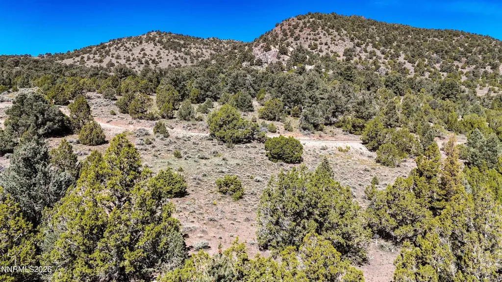 2120 Castle Peak Reno NV 89521