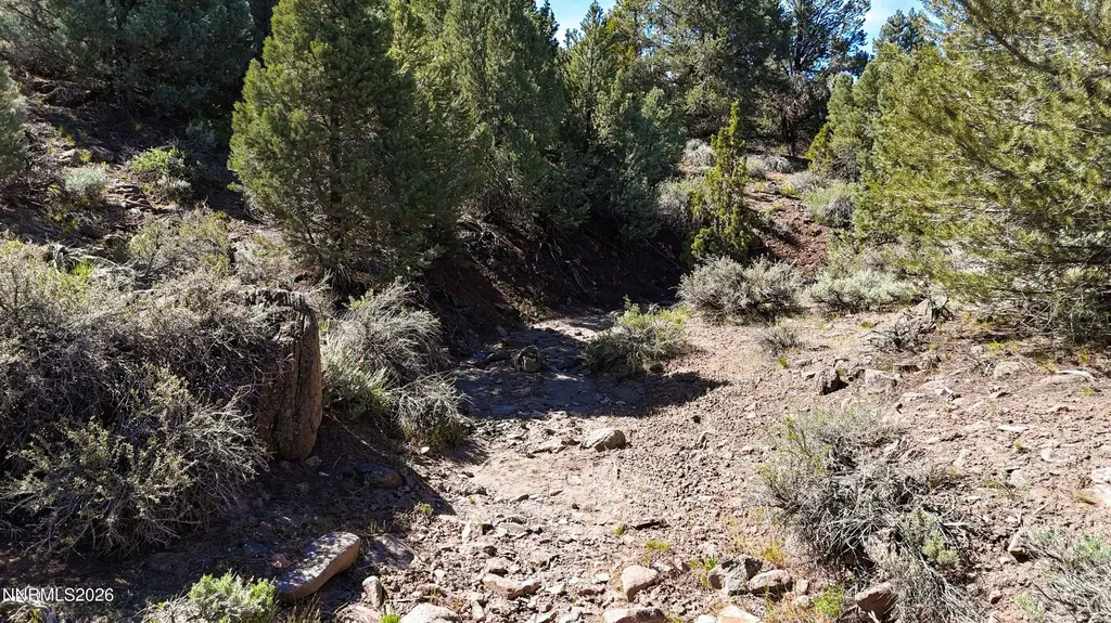 2120 Castle Peak Reno NV 89521