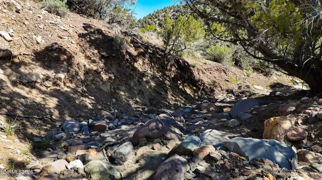 2120 Castle Peak Reno NV 89521