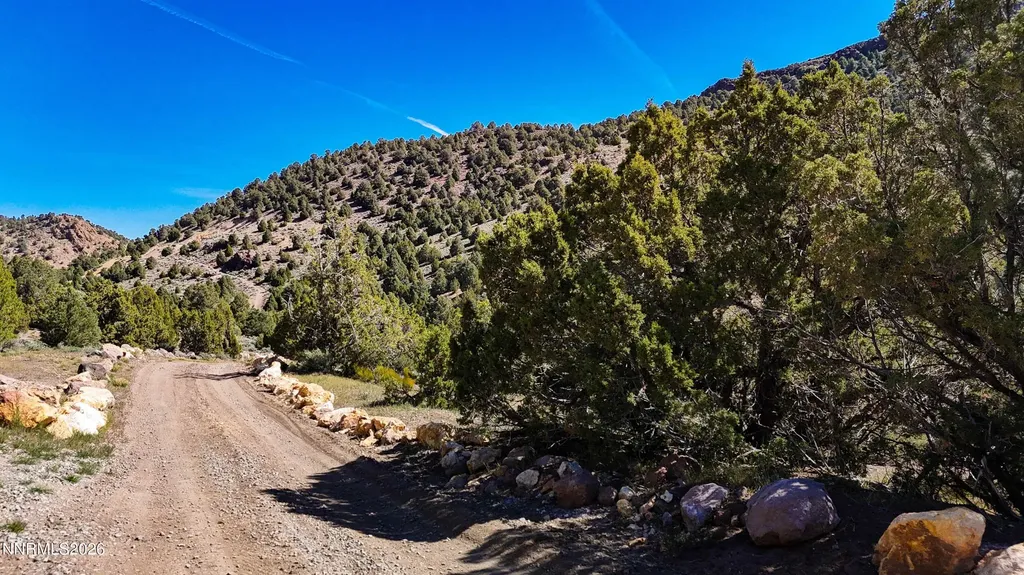 2120 Castle Peak Reno NV 89521
