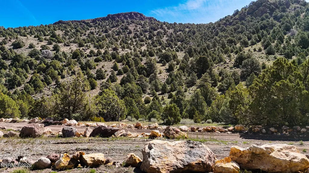 2120 Castle Peak Reno NV 89521