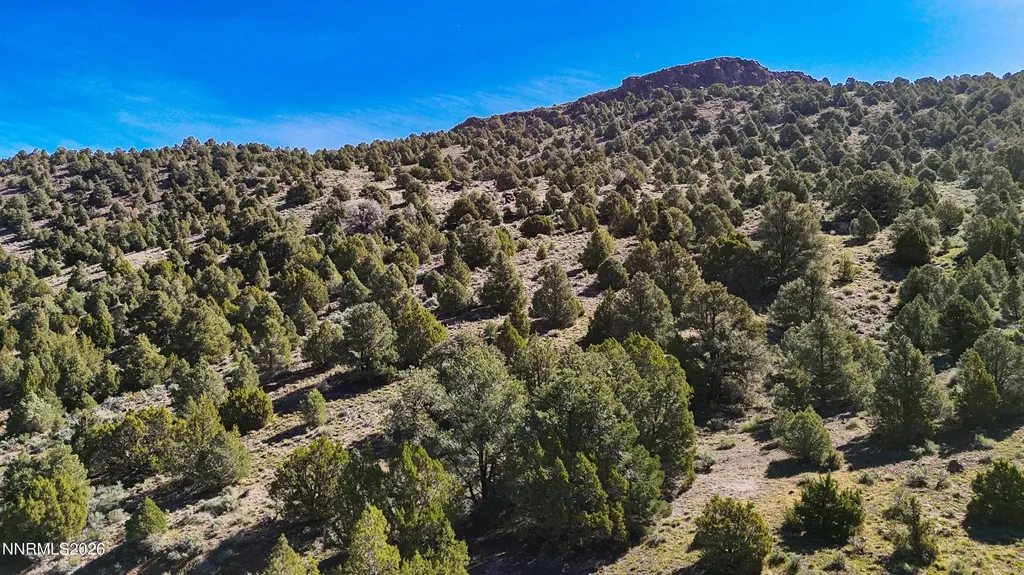 2120 Castle Peak Reno NV 89521