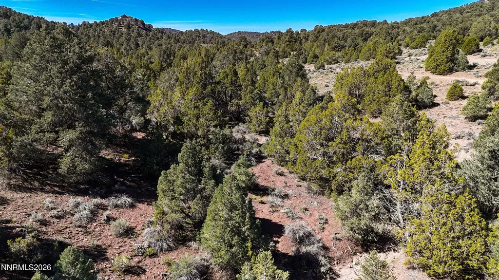 2120 Castle Peak Reno NV 89521