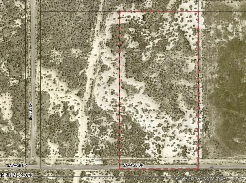 06-0498-35 Savage Winnemucca NV 89445