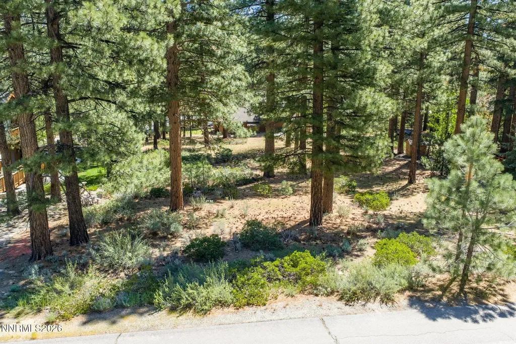 255 Mugo Pine Reno NV 89511