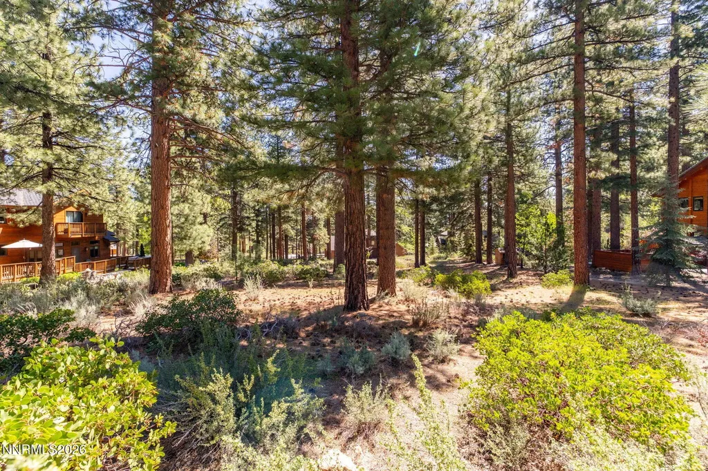 255 Mugo Pine Reno NV 89511