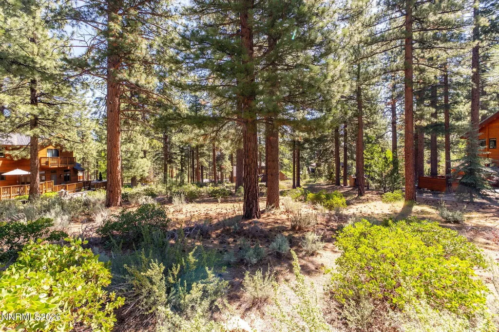 255 Mugo Pine Reno NV 89511