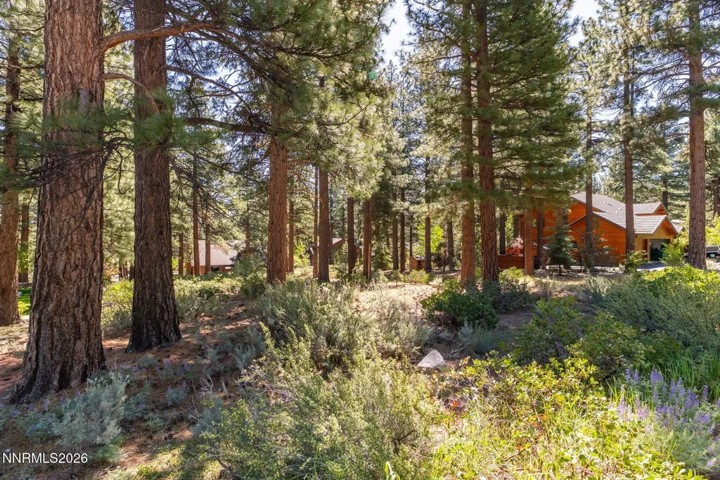 255 Mugo Pine Reno NV 89511