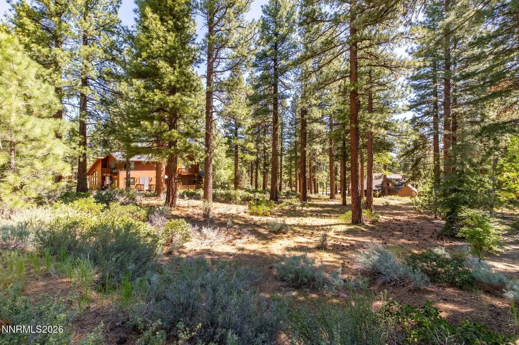 255 Mugo Pine Reno NV 89511