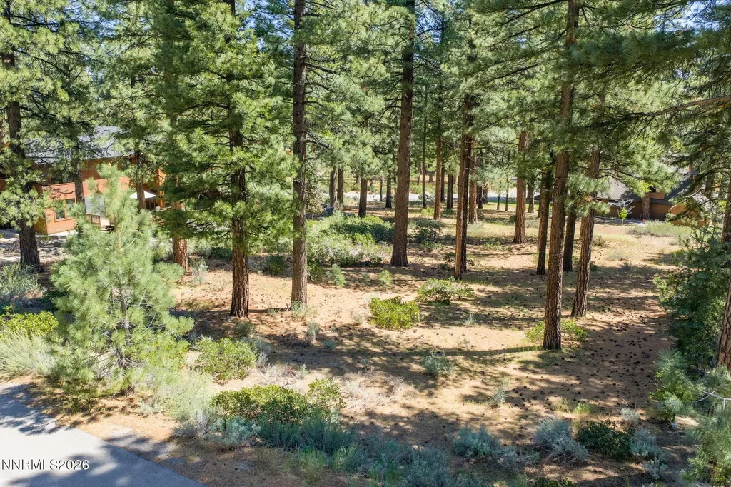 255 Mugo Pine Reno NV 89511