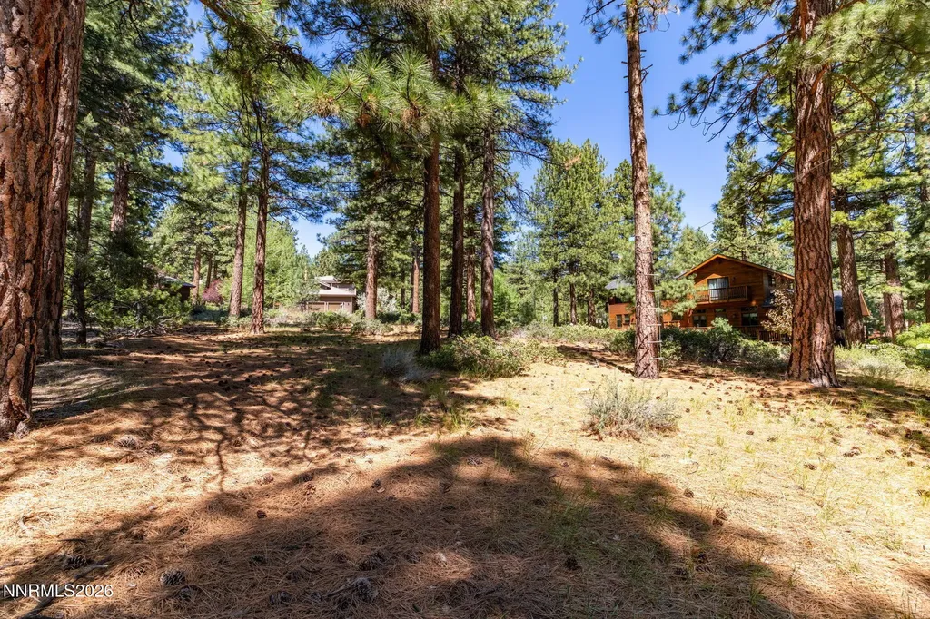 255 Mugo Pine Reno NV 89511