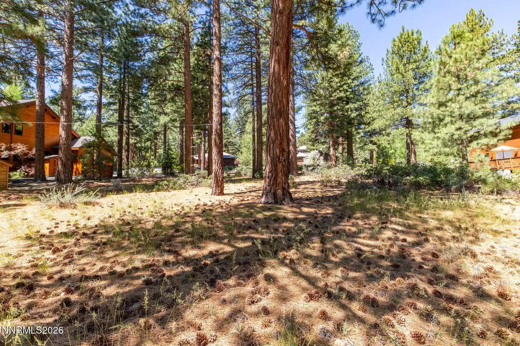 255 Mugo Pine Reno NV 89511