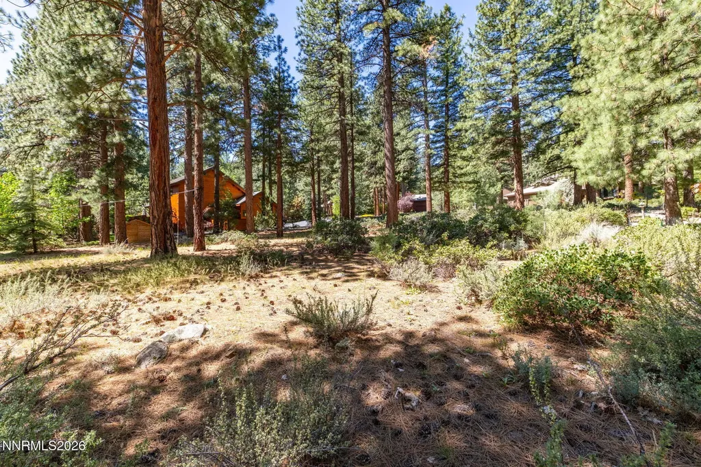 255 Mugo Pine Reno NV 89511