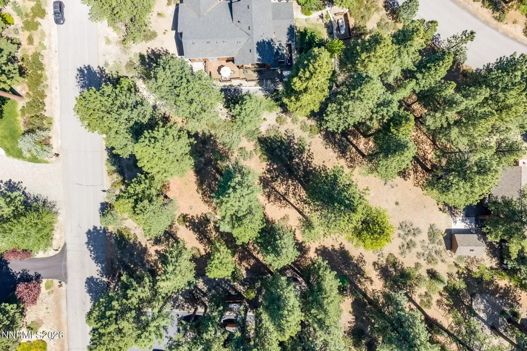 255 Mugo Pine Reno NV 89511