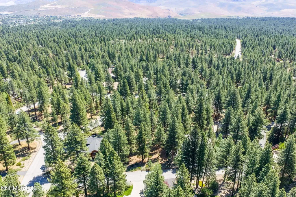 255 Mugo Pine Reno NV 89511