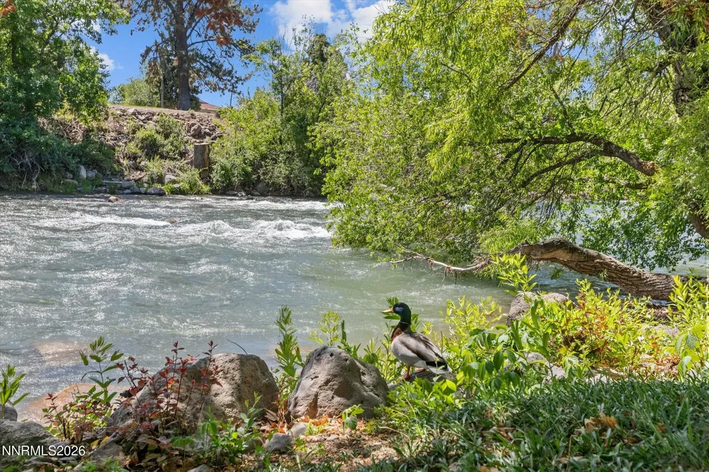 2300 Dickerson Reno NV 89503