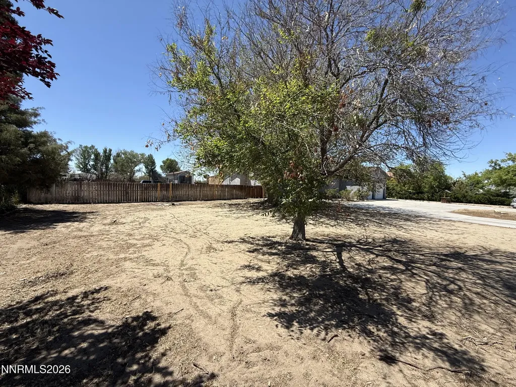 957 Ronald Fallon NV 89406