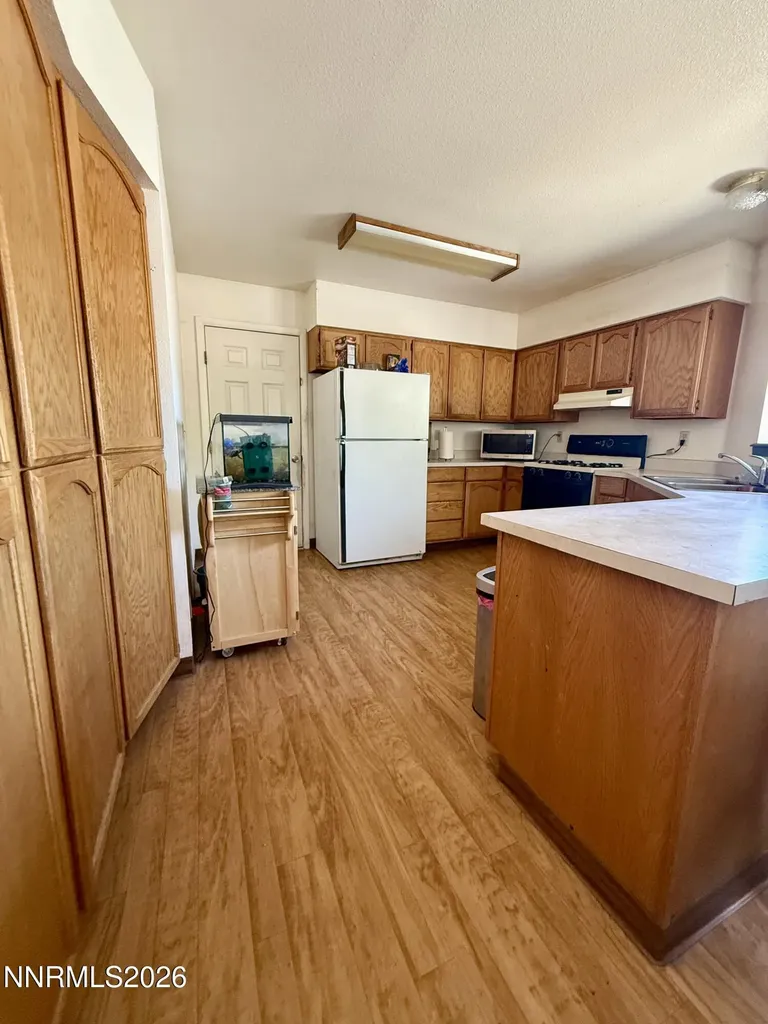 957 Ronald Fallon NV 89406
