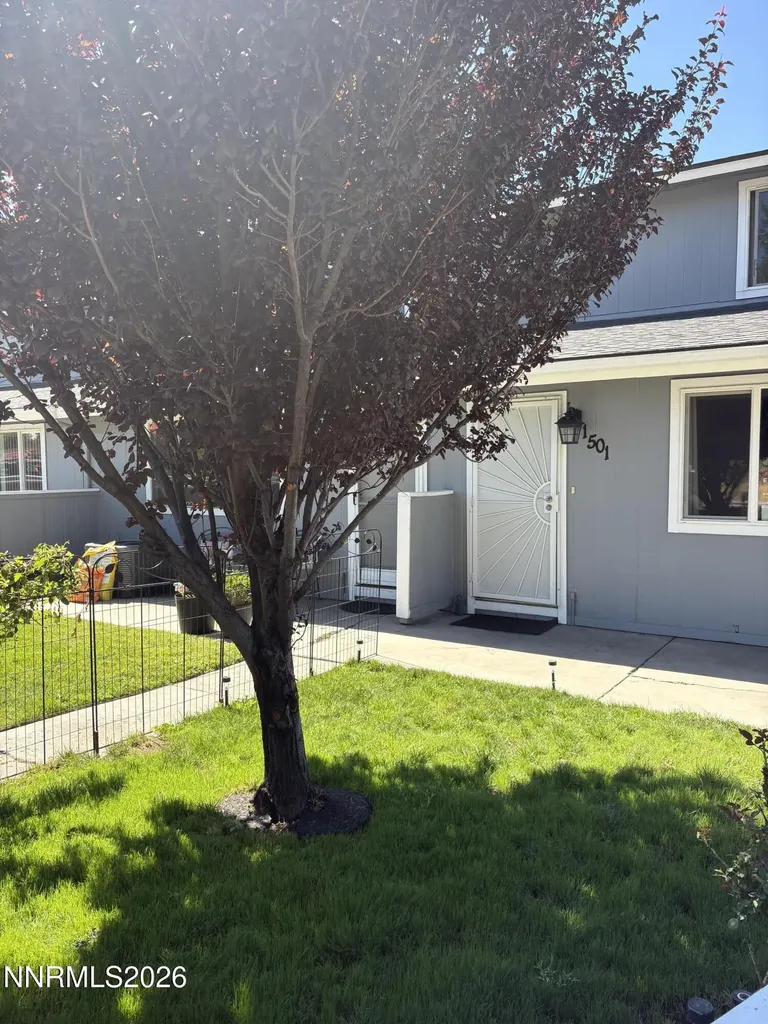 1501 E. Long Carson City NV 89706