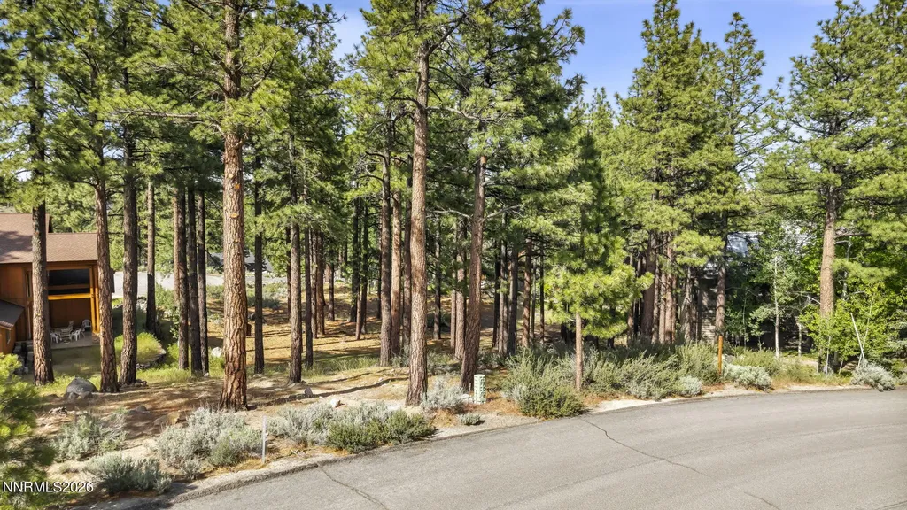 40 Myrtlewood Reno NV 89511