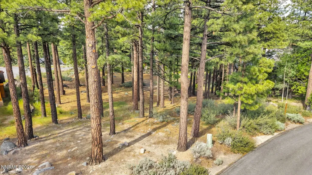 40 Myrtlewood Reno NV 89511