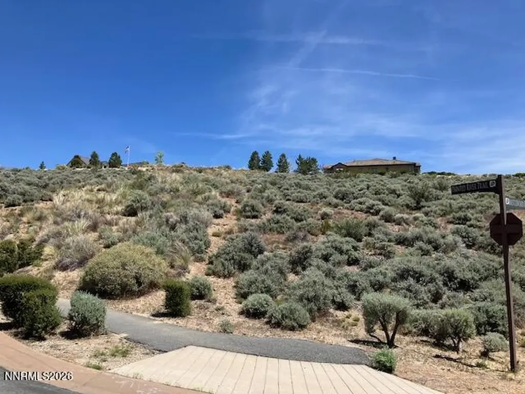 2465 Bristle Wood Reno NV 89523
