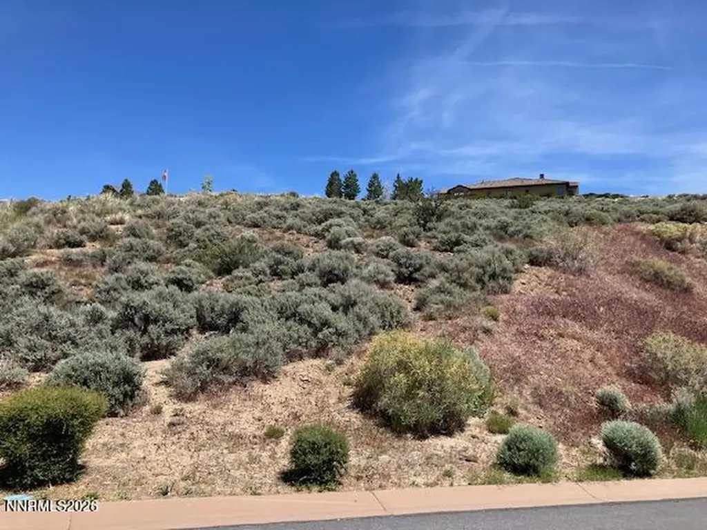 2465 Bristle Wood Reno NV 89523