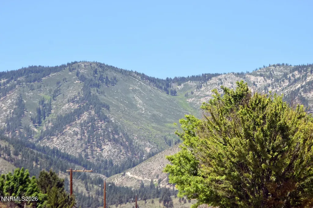 1014 Winnie Carson City NV 89703