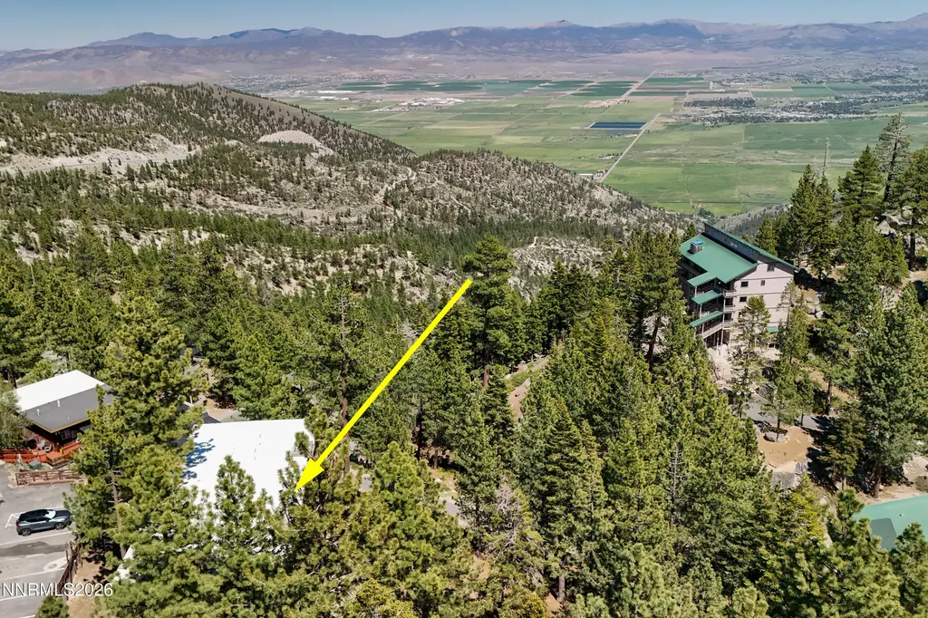 317 Quaking Aspen Stateline NV 89449