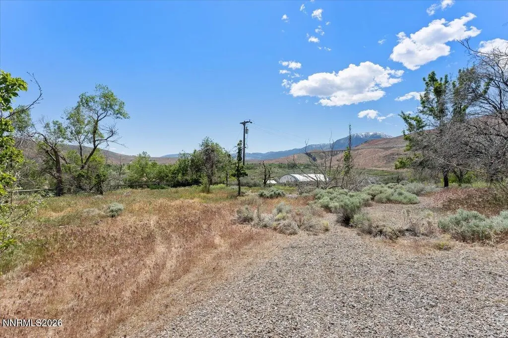 20990 David Reno NV 89521
