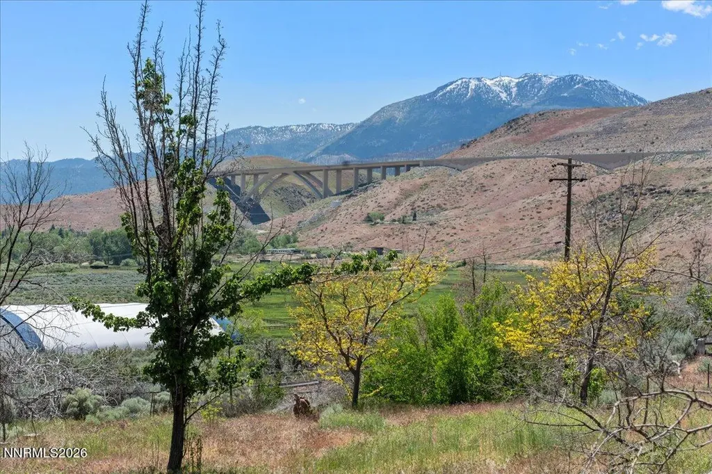 20990 David Reno NV 89521