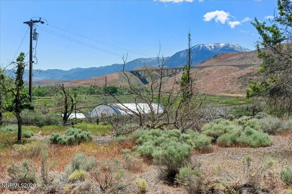 20990 David Reno NV 89521