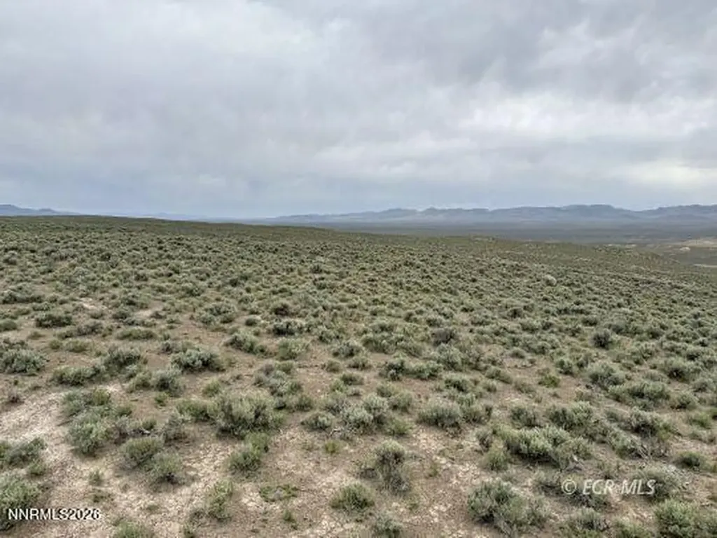 6.6 Pine Elko NV 89801