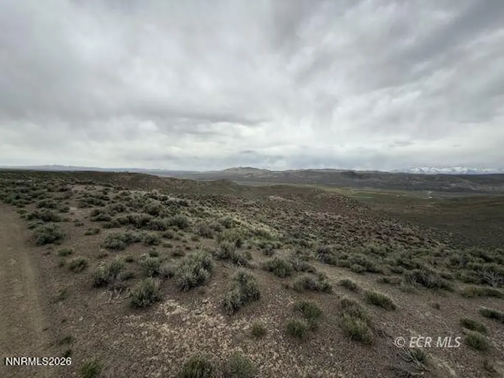 6.6 Pine Elko NV 89801