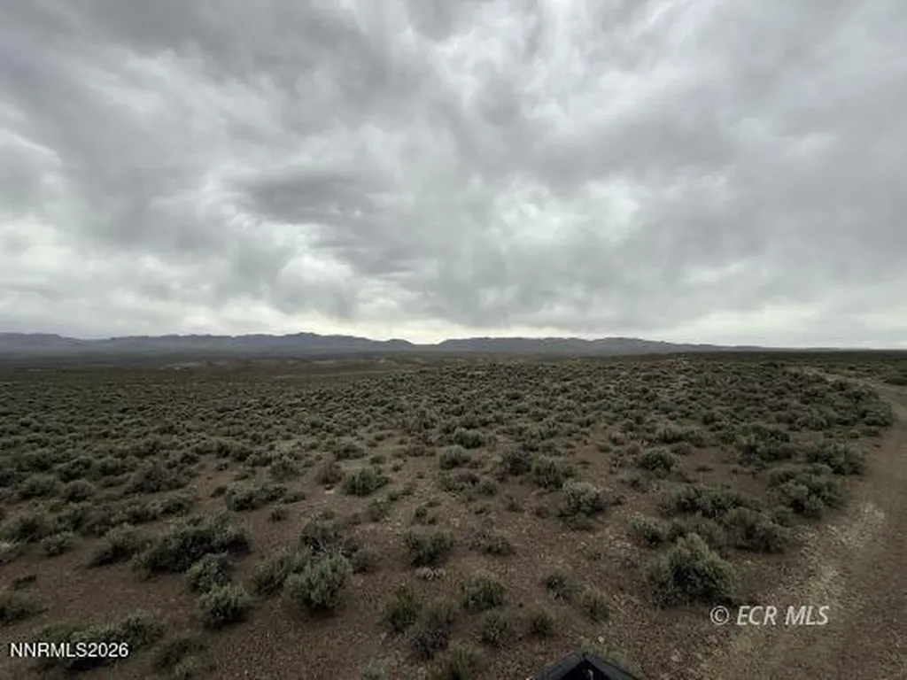 6.6 Pine Elko NV 89801