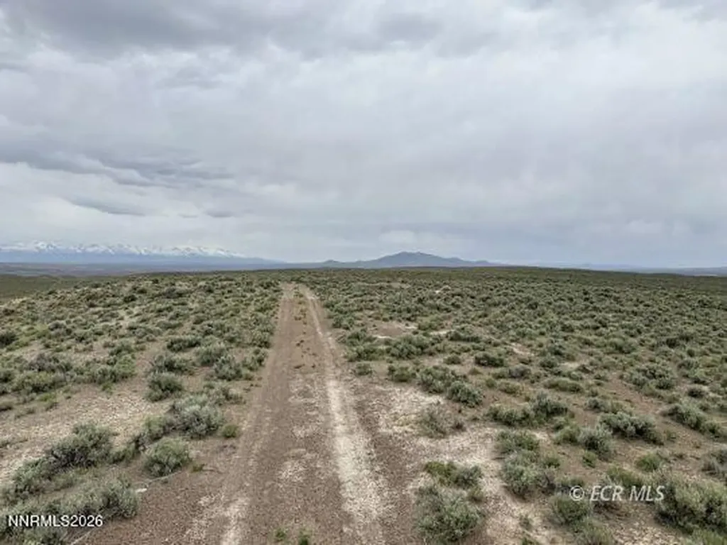 6.6 Pine Elko NV 89801