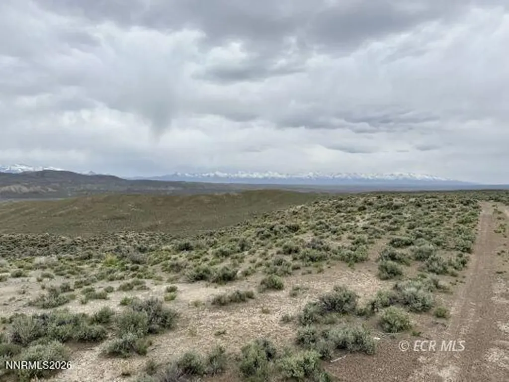 6.6 Pine Elko NV 89801