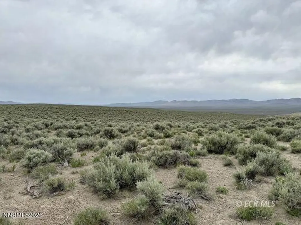 6.6 Pine Elko NV 89801
