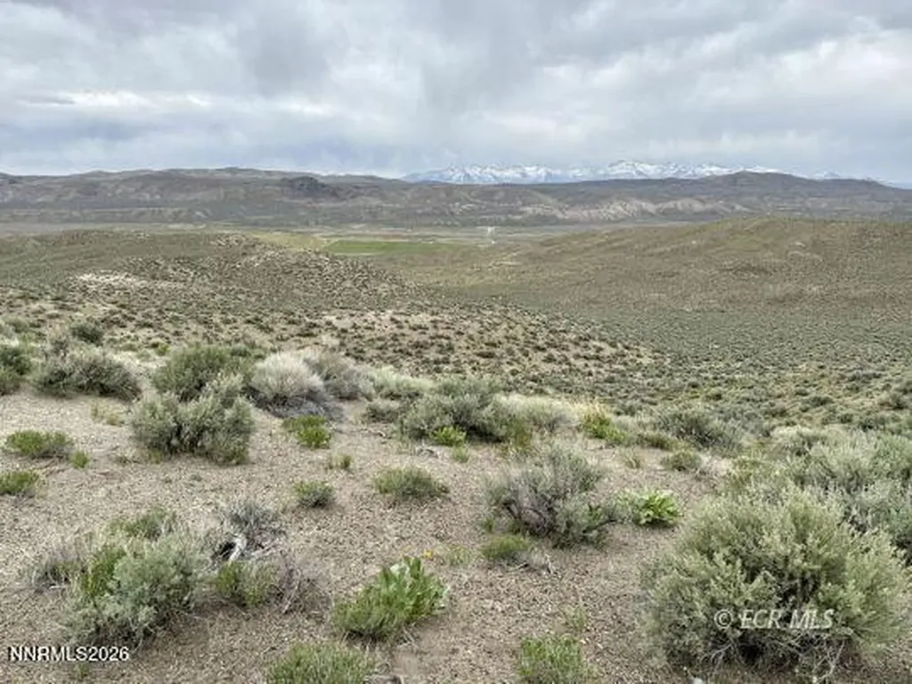 6.6 Pine Elko NV 89801